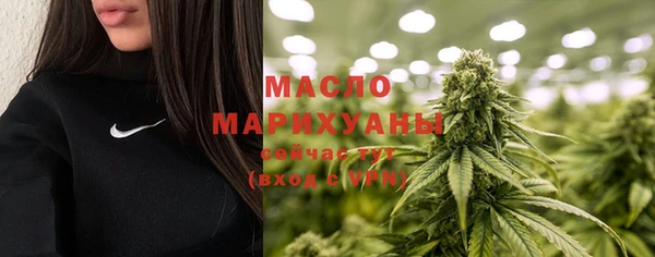 дмт Алексин